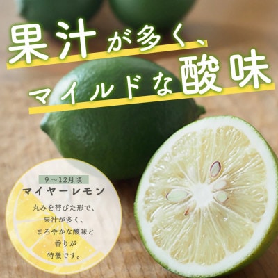 佐賀県鹿島市産　オーガニックレモン　2.5kg