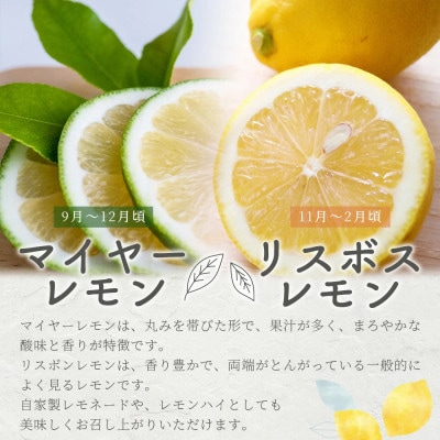 佐賀県鹿島市産　オーガニックレモン　2.5kg