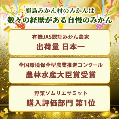 みかんを使ったドライフルーツ (ひと房) 100g