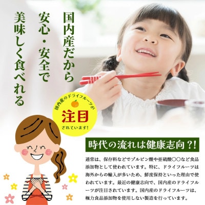 みかんを使ったドライフルーツ (ひと房) 100g