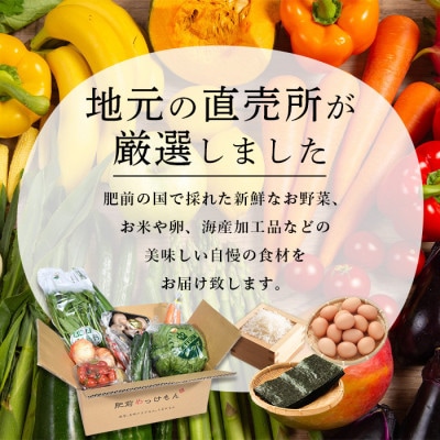 肥前の国の農産物大満足セット(野菜・卵・米・果物等)14品目程度詰め合わせ(鹿島市)