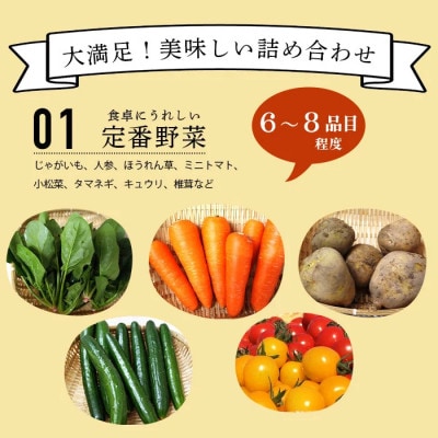 肥前の国の農産物大満足セット(野菜・卵・米・果物等)14品目程度詰め合わせ(鹿島市)
