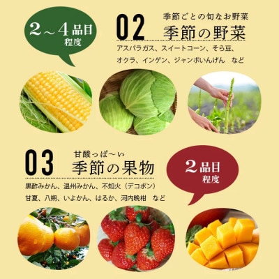 肥前の国の農産物大満足セット(野菜・卵・米・果物等)14品目程度詰め合わせ(鹿島市)