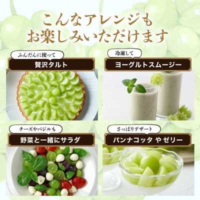 【先行予約】旬の採れたてシャインマスカット 約1.2kg 2～3房 佐賀県産(鹿島市)