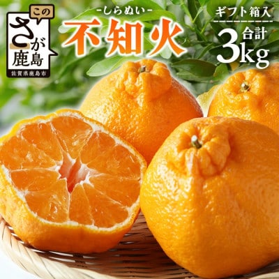 【先行予約】不知火(ギフト箱入り) 3kg(鹿島市)