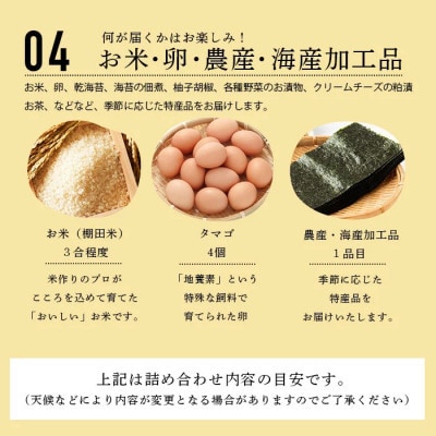 【毎月定期便】肥前の国の農産物大満足セット(野菜・卵・米・果物等)14品目程度詰め合わせ鹿島市全3回