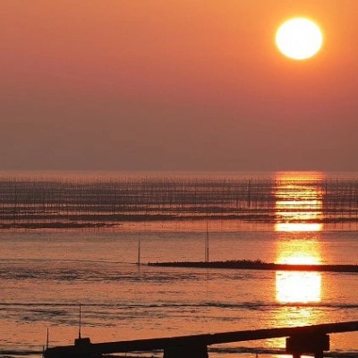 【有明海産】寿司のり50枚入り