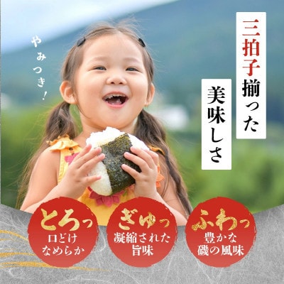 焼のり有明干潟育ち　9個セット