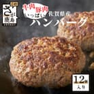 佐賀県産牛肉・豚肉いっぱいハンバーグ　12個入り