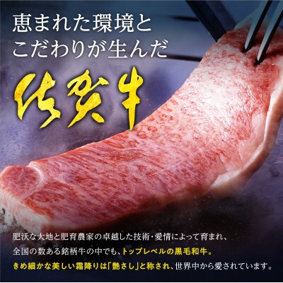 『佐賀牛』A5等級 霜降り サイコロステーキ　500g