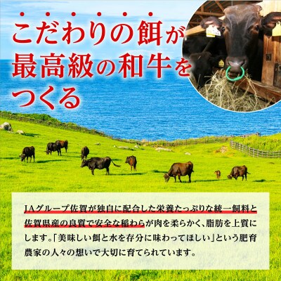 佐賀牛ヒレステーキ　550g(3枚入)