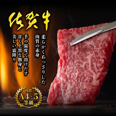 佐賀牛食べ比べセット焼肉用(肩ロース210g・牛もも210g)