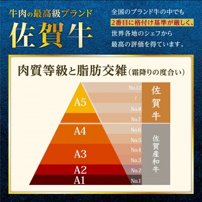 佐賀牛食べ比べセット焼肉用(肩ロース210g・牛もも210g)