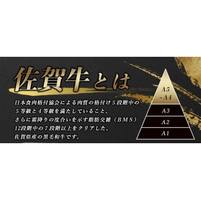 佐賀牛食べ比べセット焼肉用(肩ロース210g・牛もも210g)