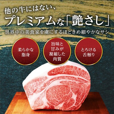 最高級ブランド『佐賀牛』100%ミンチ 1kg (500g×2パック)