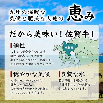 最高級ブランド『佐賀牛』100%ミンチ 1kg (500g×2パック)