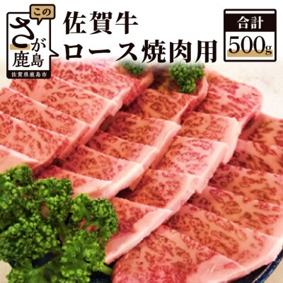 佐賀牛 ロース 焼肉用 500g