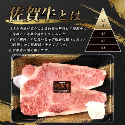【増量企画】佐賀牛サーロインステーキ 2枚(合計420g)【黒毛和牛】