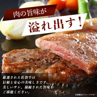 【増量企画】佐賀牛サーロインステーキ 2枚(合計420g)【黒毛和牛】