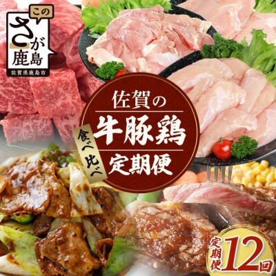 【毎月定期便】佐賀の「牛・豚・鶏」食べ比べ 定期便(V-44)全12回