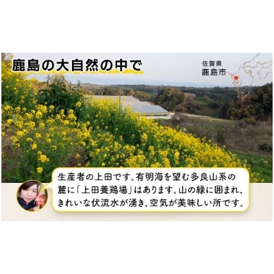 佐賀県鹿島産　平飼い卵「うみとやまとこっこ」上田養鶏場　たまご60個