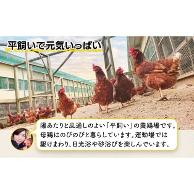 佐賀県鹿島産　平飼い卵「うみとやまとこっこ」上田養鶏場　たまご60個