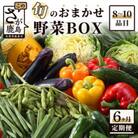 【毎月定期便】旬のおまかせ野菜BOX 詰め合わせ 8～10品目全6回