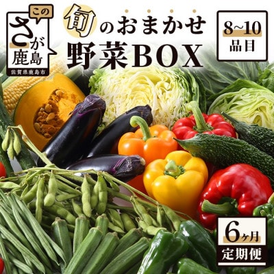 【毎月定期便】旬のおまかせ野菜BOX 詰め合わせ 8～10品目全6回