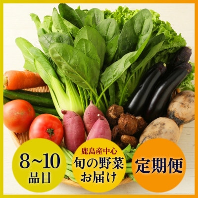 【毎月定期便】旬のおまかせ野菜BOX 詰め合わせ 8～10品目全6回