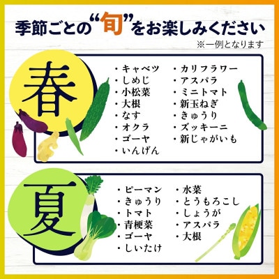 【毎月定期便】旬のおまかせ野菜BOX 詰め合わせ 8～10品目全6回