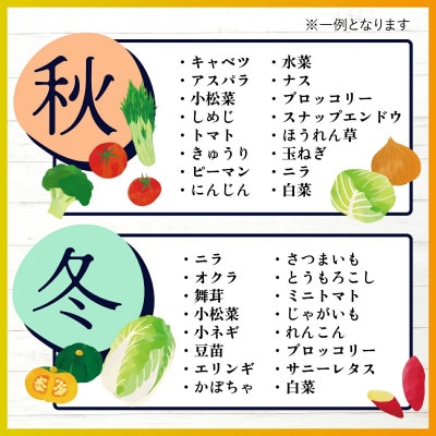 【毎月定期便】旬のおまかせ野菜BOX 詰め合わせ 8～10品目全6回