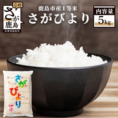 【新鮮米】1等米 佐賀県鹿島産さがびより白米5kg 令和5年産
