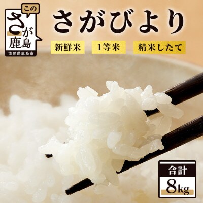 【新鮮米】1等米 佐賀県鹿島産さがびより白米8kg 令和5年産
