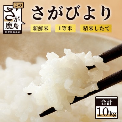 【新鮮米】1等米 佐賀県鹿島産さがびより白米10kg(2kg×5袋)令和5年産