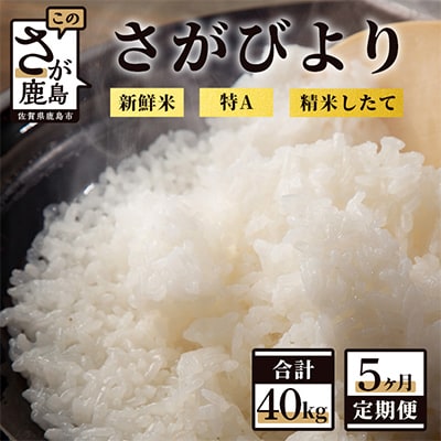 【毎月定期便】【新鮮米】1等米 佐賀県鹿島産さがびより白米8kg 全5回