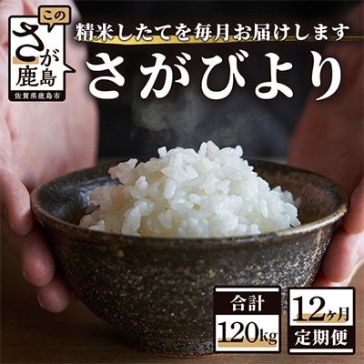 【毎月定期便】【新鮮米】1等米 佐賀県鹿島産さがびより白米10kg(2kg×5袋) 全12回