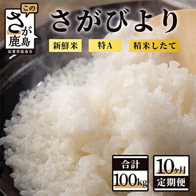 【毎月定期便】新鮮米 佐賀県鹿島産さがびより白米5kg×2袋 全10回