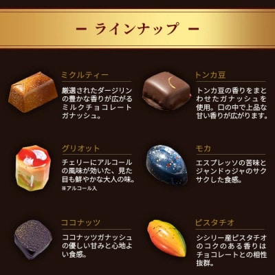 菓子工房 ひのでや てづくり ショコラ 10個 詰め合わせセット