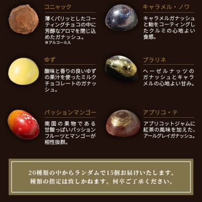 菓子工房 ひのでや てづくり ショコラ 15個 詰め合わせセット