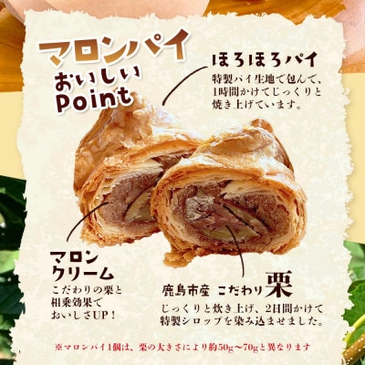 【地元の栗を使用】 職人の作る特別なマロンパイ 5個入り