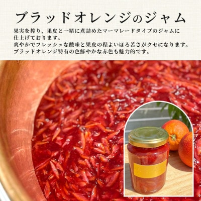 【ジャム】詰合せ　おまかせ4本セット