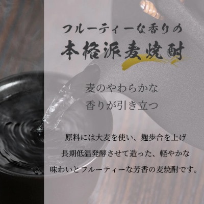 麦焼酎 舞ここち 900ml  ホークスラベル