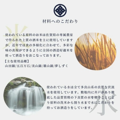 肥前浜宿 酒蔵カレー 200g×3箱 (レトルト)【佐賀県産和牛使用】【純米酒入り】