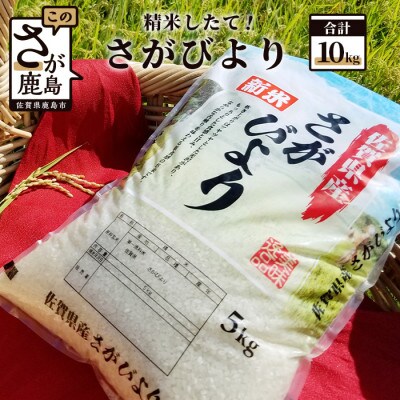【精米したて!】令和5年産 さがびより 10kg(5kg×2袋)