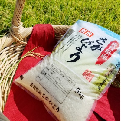 【精米したて!】令和5年産 さがびより 10kg(5kg×2袋)