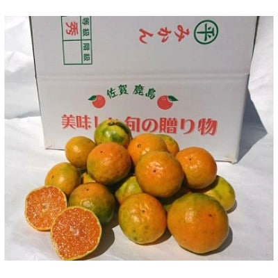 【先行受付】佐賀県鹿島産 平倉果樹園 極早生みかん 約5.5kg 小玉(S～2Sサイズ)