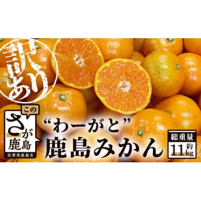”わーがと”鹿島産がばい訳アリみかん 約11kg【2023年発送】