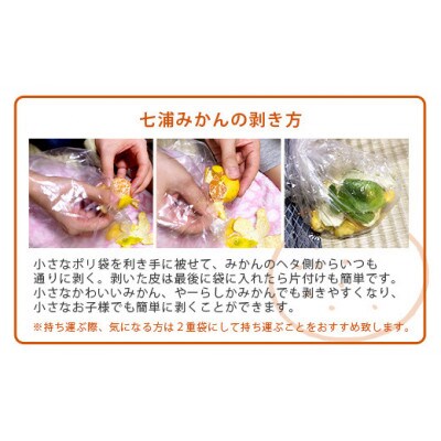 ”わーがと”鹿島産がばい訳アリみかん 約11kg【2023年発送】