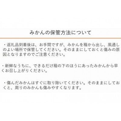 ”じっぱか”鹿島産みかん 約11kg 大中小サイズ別【2023年発送】
