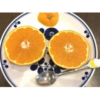 ”がばいふとか”鹿島産みかん 約11kg 大サイズ ご家庭用【2023年発送】